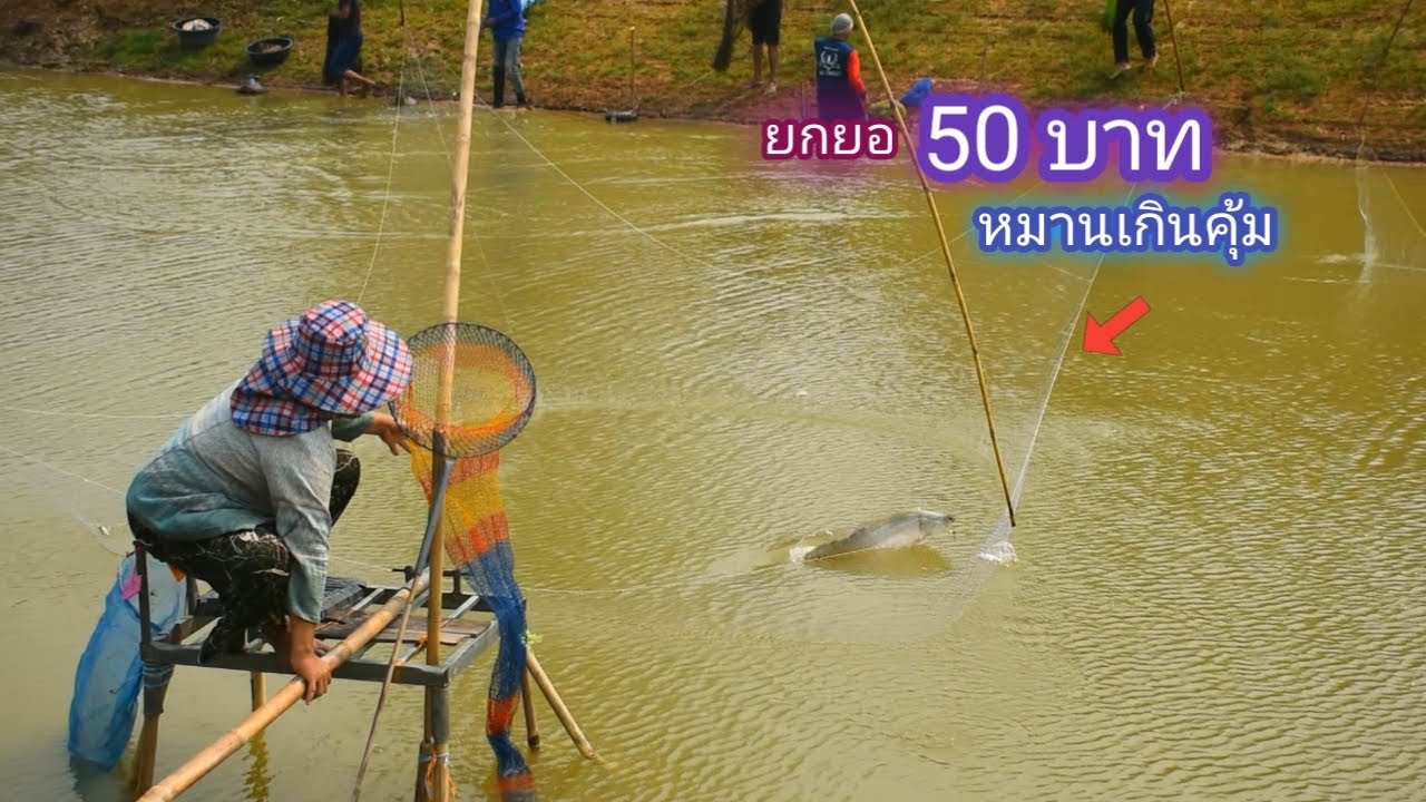 ยกยอ 50 บาท หมานกว่าที่คิดไว้เยอะเลย ปลาธรรมชาติสวยๆ / บ้านนอก EP.616