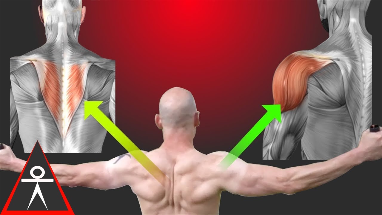 How to Work Your Shoulders or Traps with Suspension Strap Flys