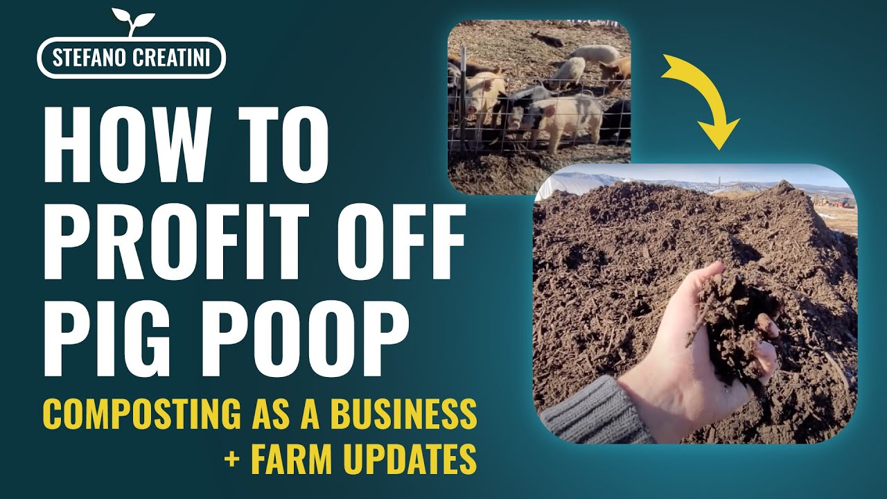 How to profit off pig poop | Composting as an Income Stream | Regenerative Agriculture