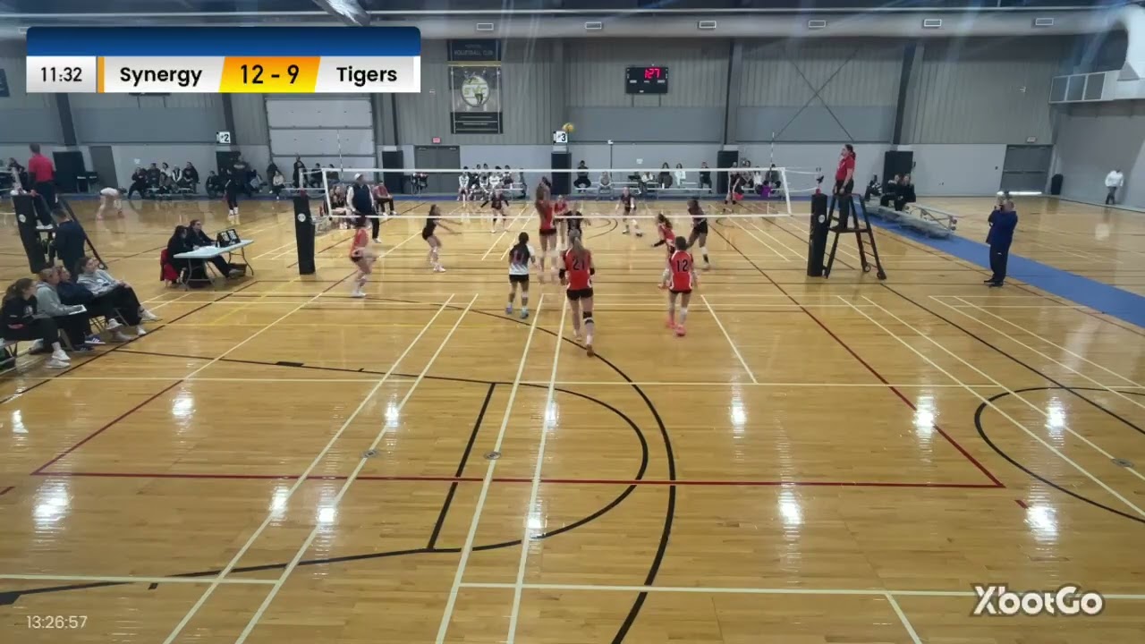 2026 01 17 Tigers