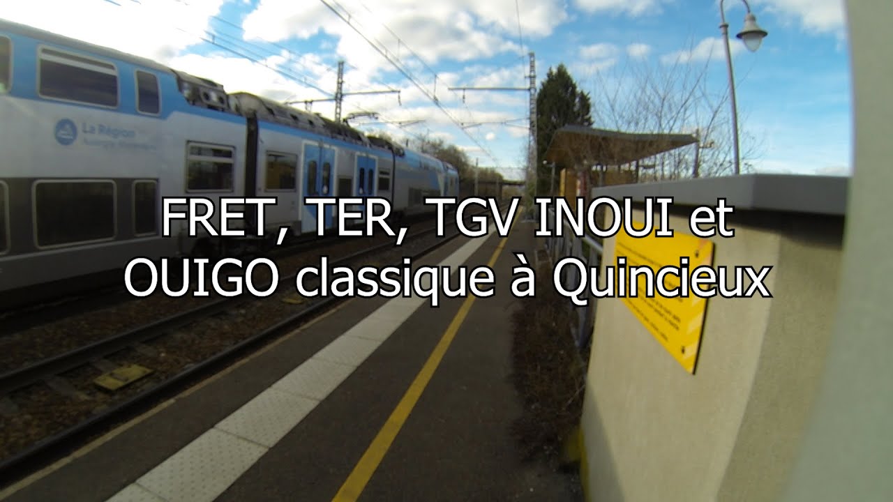 FRET, TER, TGV INOUI et OUIGO classique &agrave; Quincieux