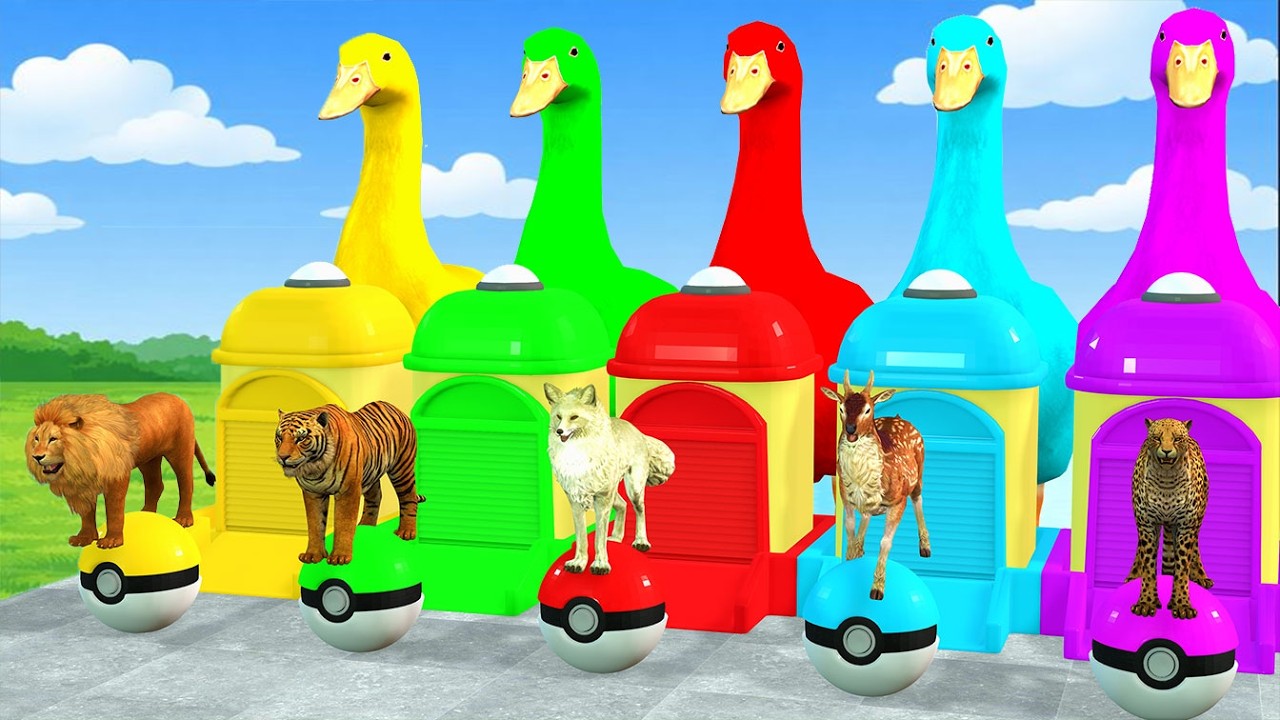 5 GIANT DUCKS and Friends Cross the Famous Fountain in EPIC Animation #215