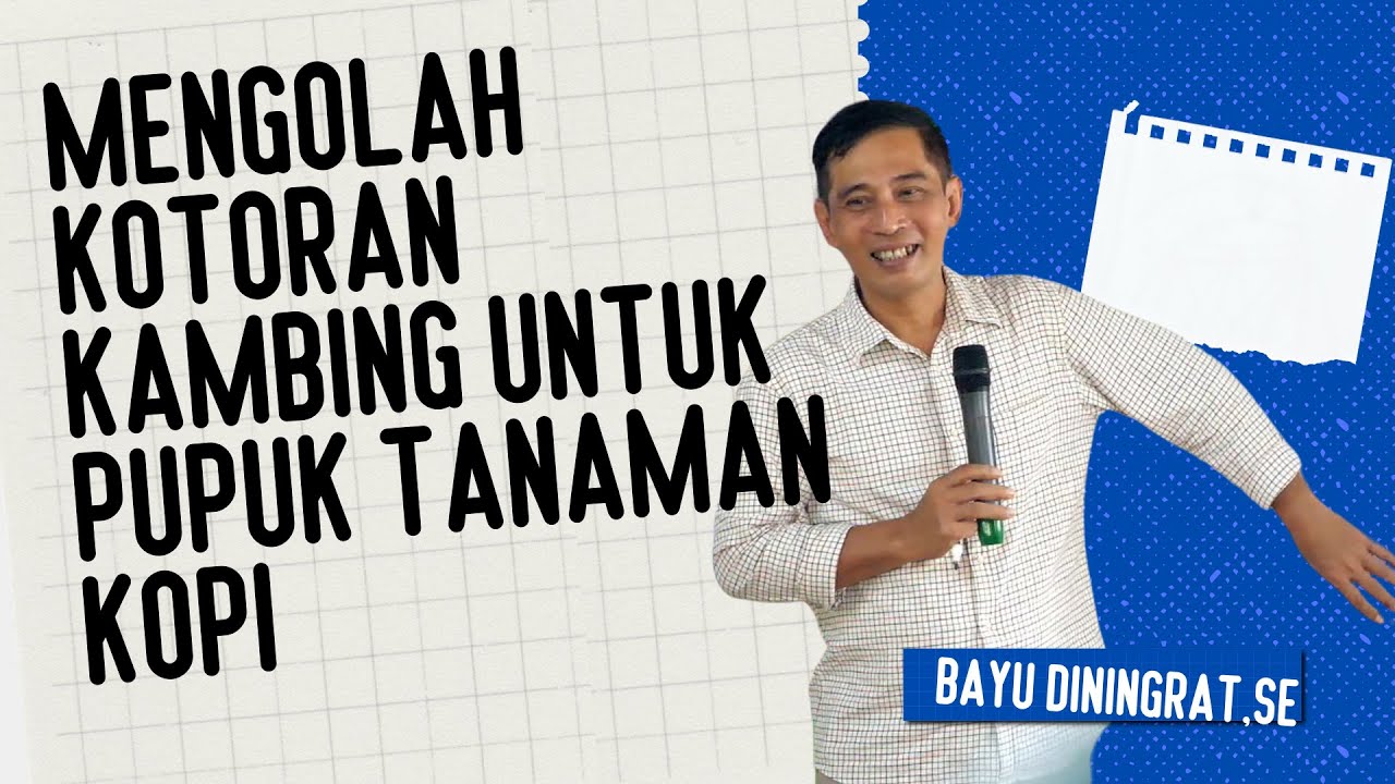 MENGOLAH KOTORAN KAMBING UNTUK PUPUK TANAMAN KOPI #pelatihanbsm B1 #bayudiningrat