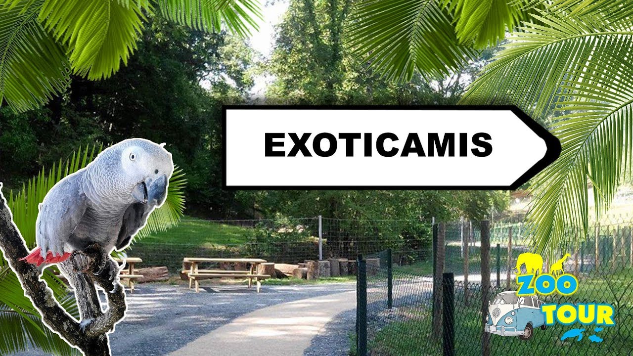 ZOOTOUR #3 Exoticamis