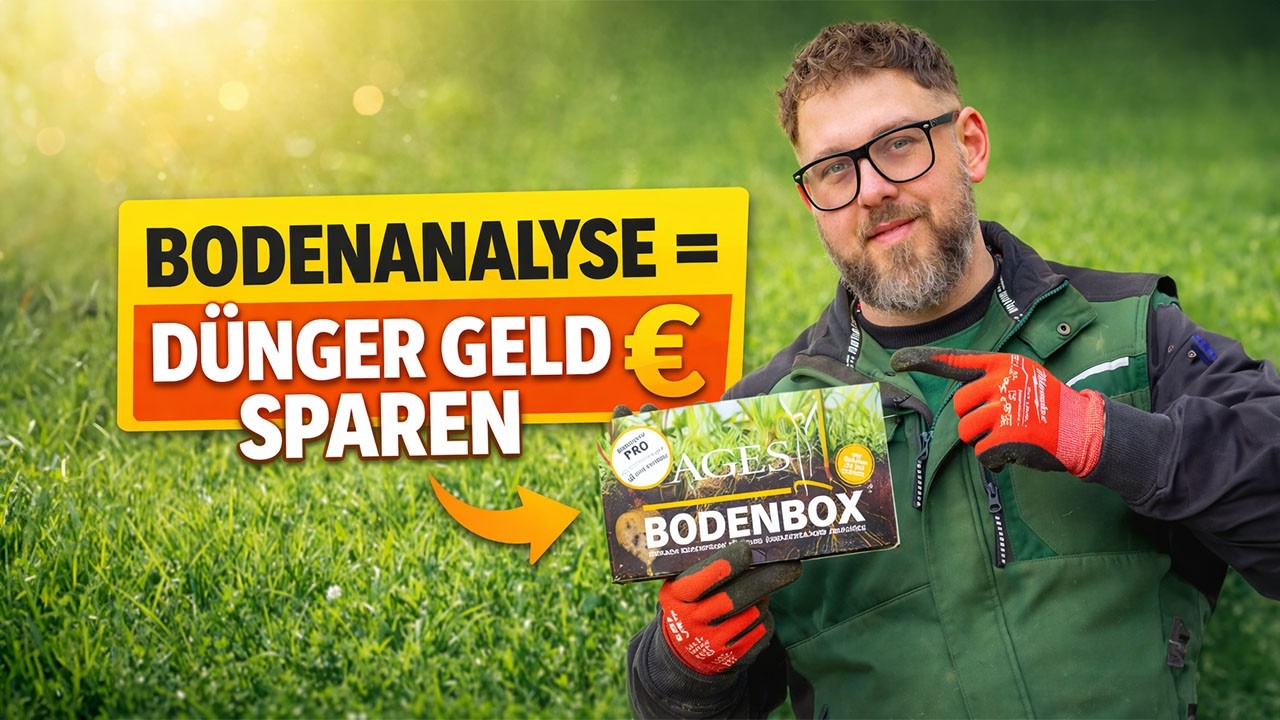 Perfekter Rasen 2026: Die richtige Rasenpflege beginnt jetzt