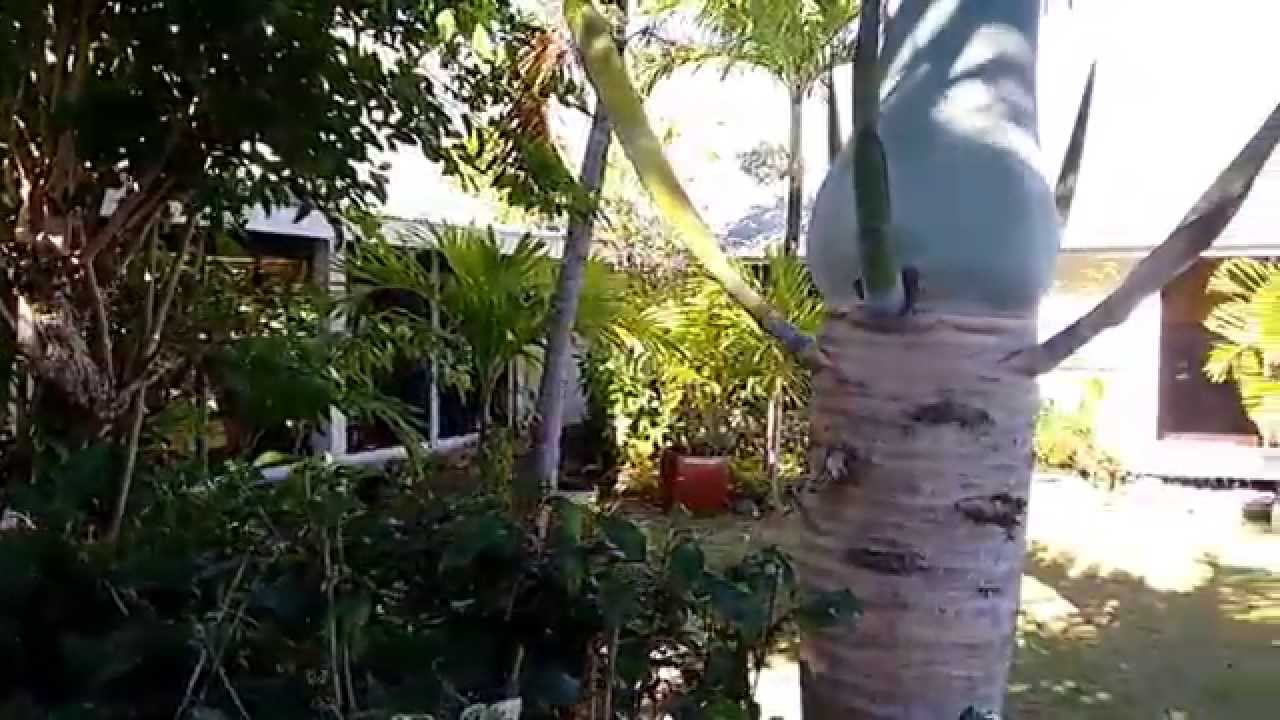 Villa Cook's Beach