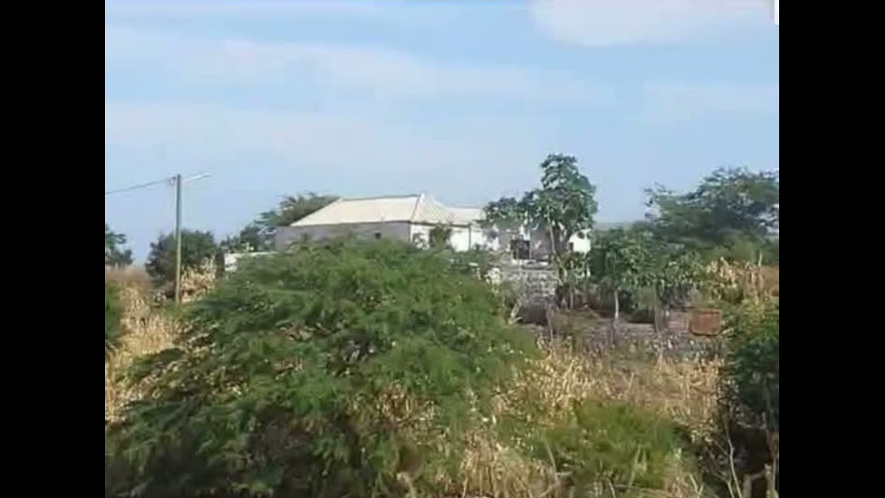 Sodade santa Clara