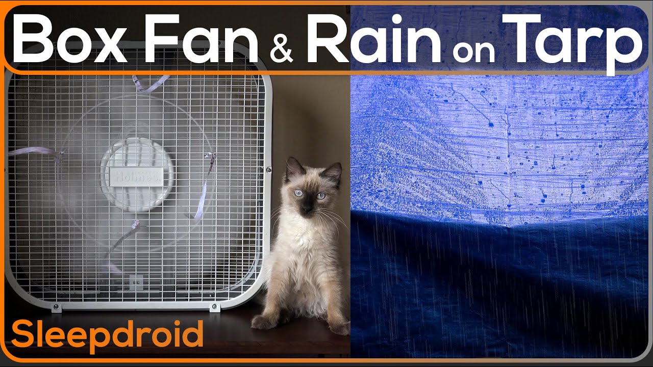 ►Box Fan (Medium Speed) and Rain on a Tarp with Thunder Sounds for Sleeping, Fan Noise and Rain