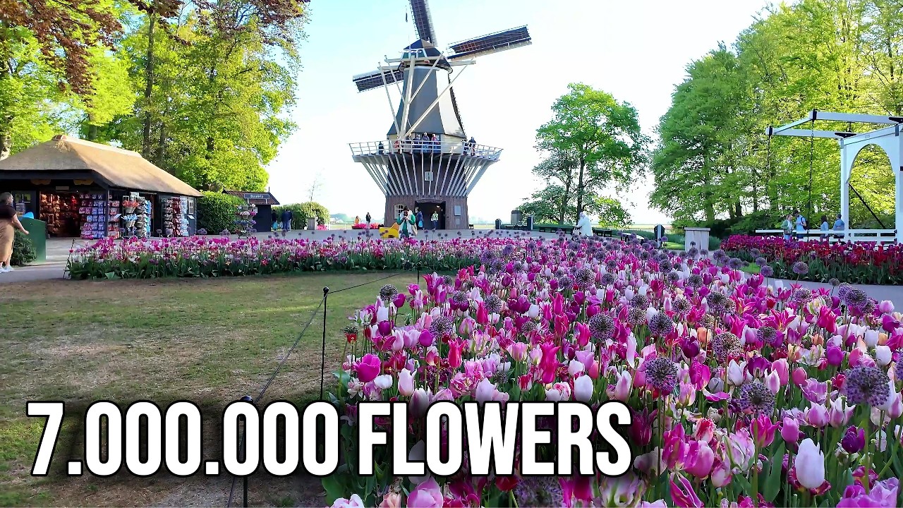 The World’s Biggest Flower Garden 🌷 Keukenhof 4K Walk | 7 Million Tulips in Bloom