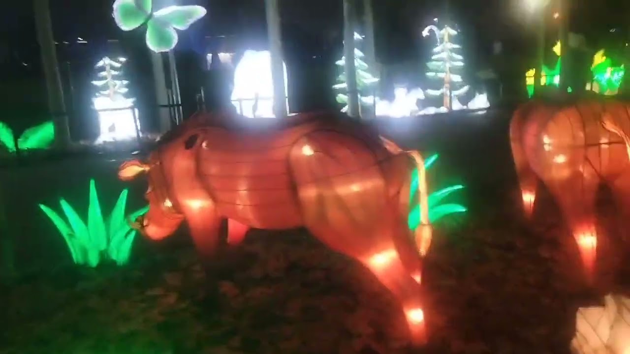 Mágicas Navidades.Festival De Linternas Asia Zoo.Parte 5.Dia 3 Enero 2026