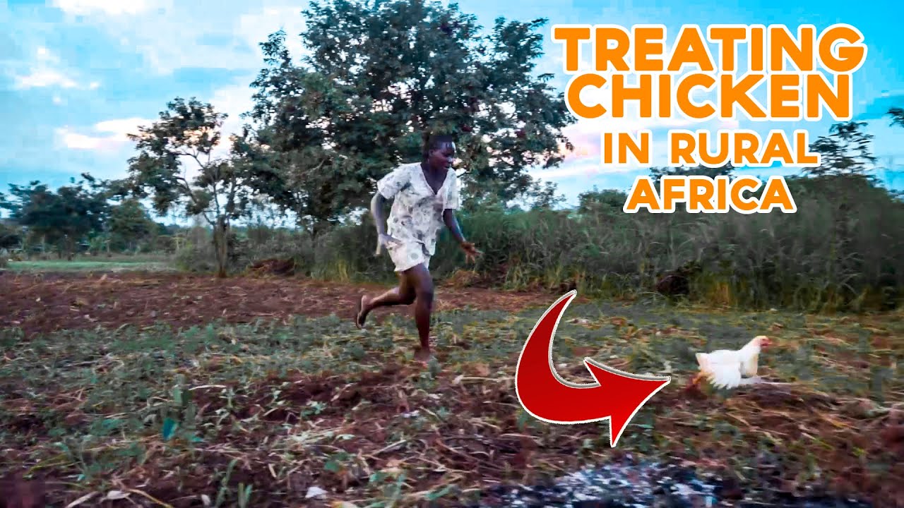 African Village Girl's Life//Treating chicken with local herbs in the village