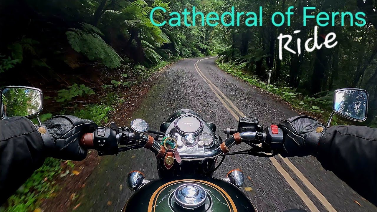 Royal Enfield Bullet 500 | Cathedral of Ferns Ride