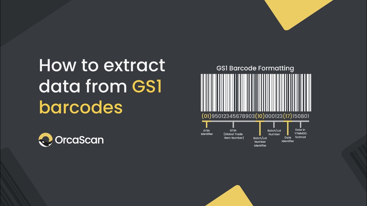 How to extract data from GS1 barcodes with Orca Scan