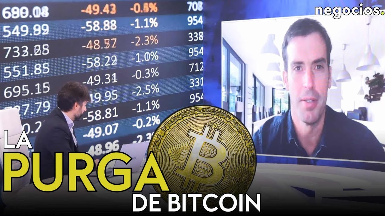 “Bitcoin está purgando al pequeño inversor y pasa a manos de ballenas”. Javier Pastor
