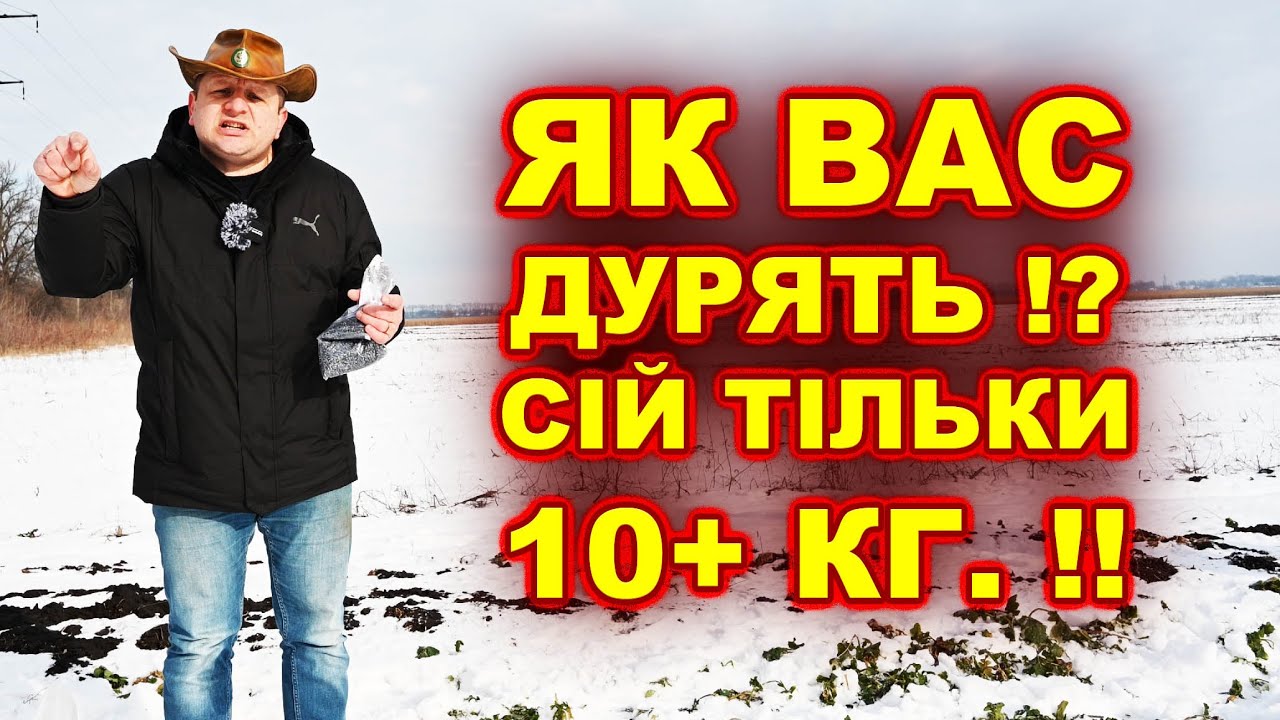 ДРІБНЕ НАСІННЯ 🌻ВРОЖАЙ МЕНЬШЕ НА скільки? СОНЯШНИК #сармат #альдазор #рекольд #агрован @Агро-Ритм