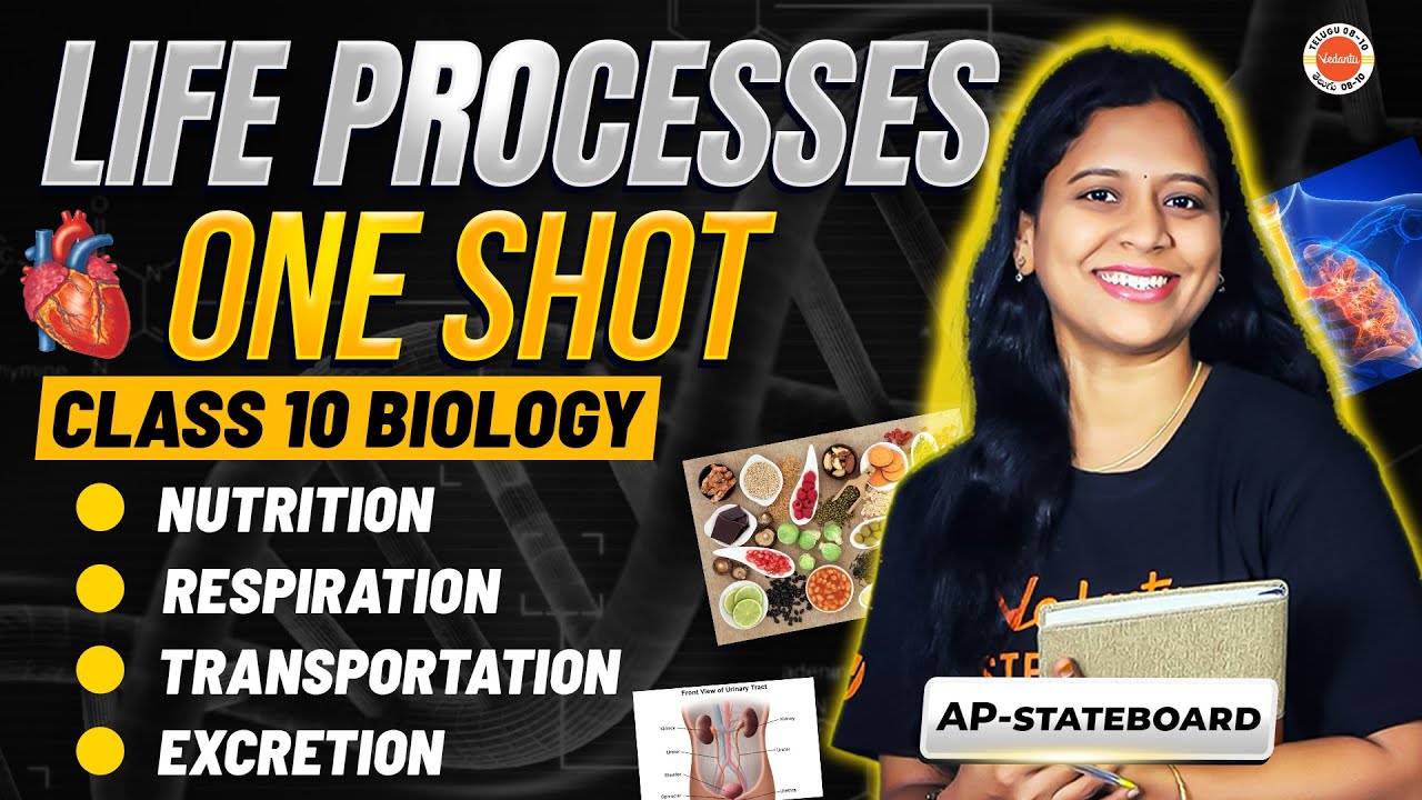 Life Processes - One Shot | Class 10 Biology | SSC 2026 | AP & CBSE Boards | Sunaina Ma’am