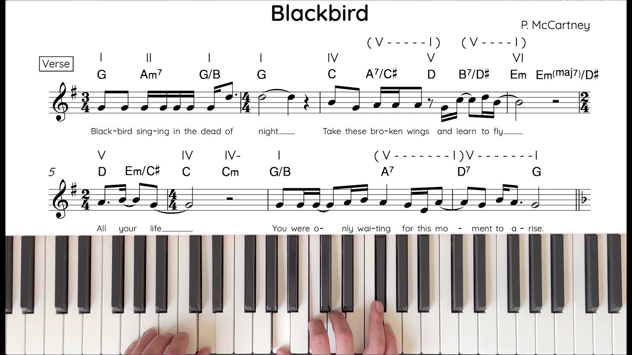 Blackbird (Lennon/McCartney) Tutorial & Analysis | The Jazz Pursuit