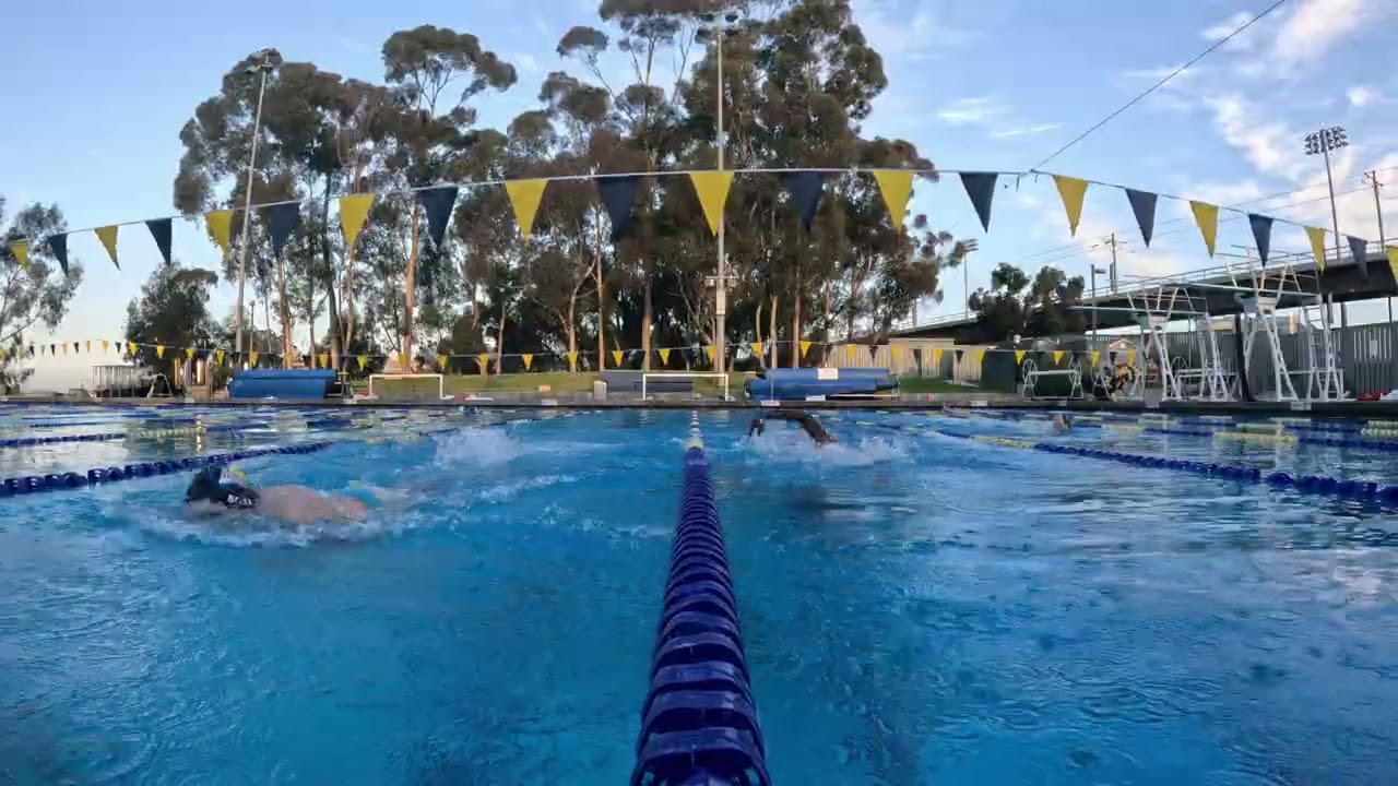 gavin olivia 100 free