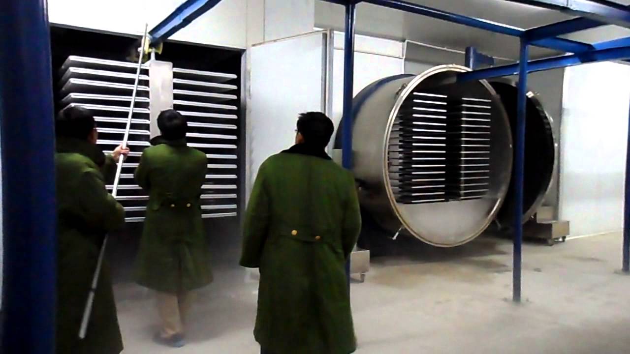 vacuum freeze dryer working videosales8801@163 com