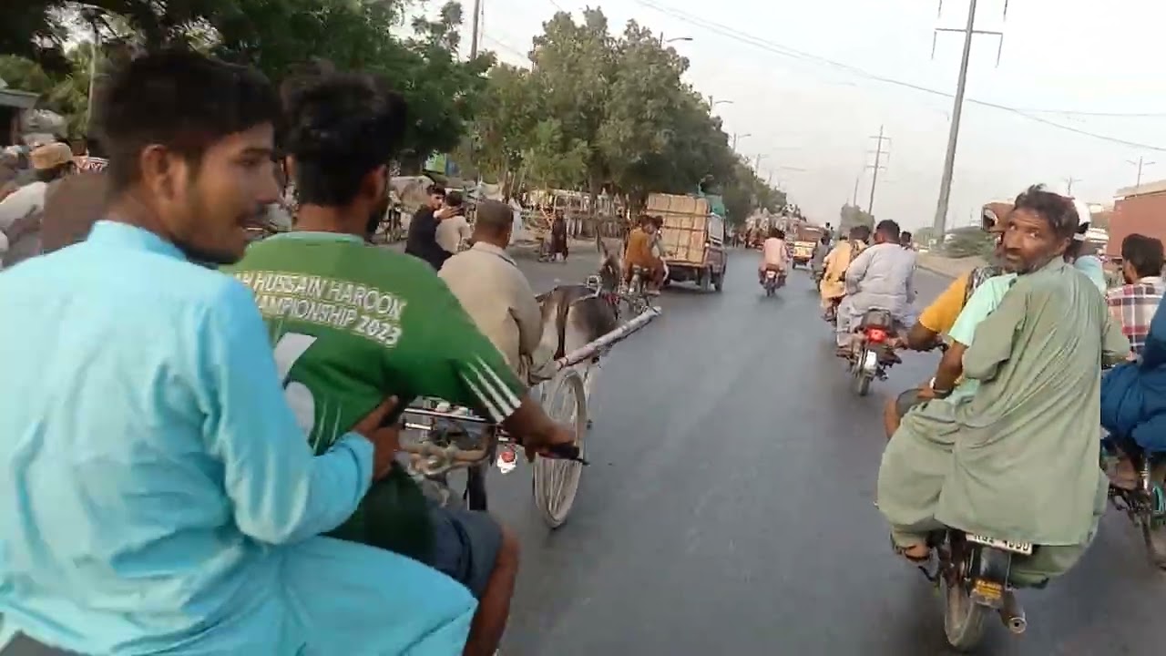 New donki race ali bux wala vs pappy wala win