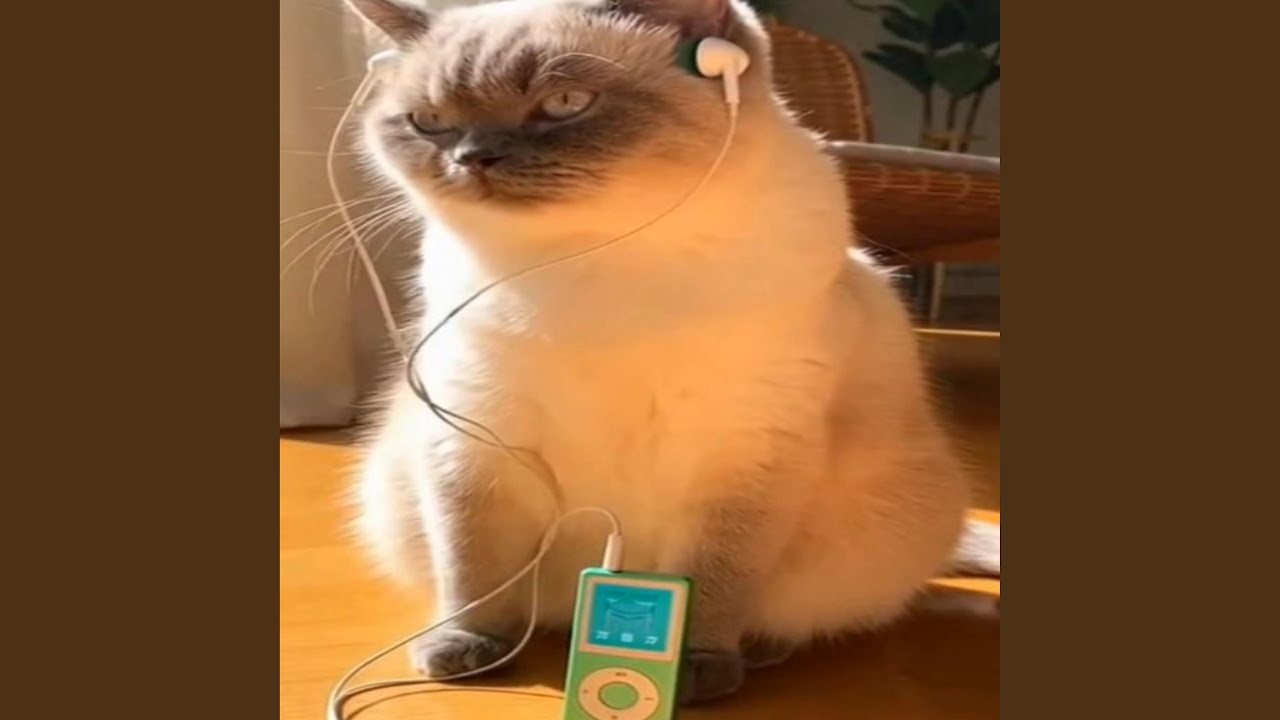 close my eyes