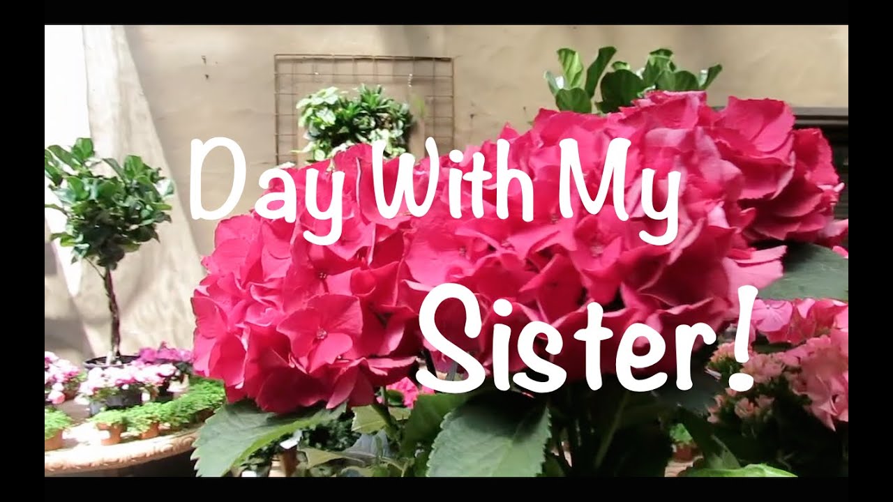 Spending the Day With My Sister in California