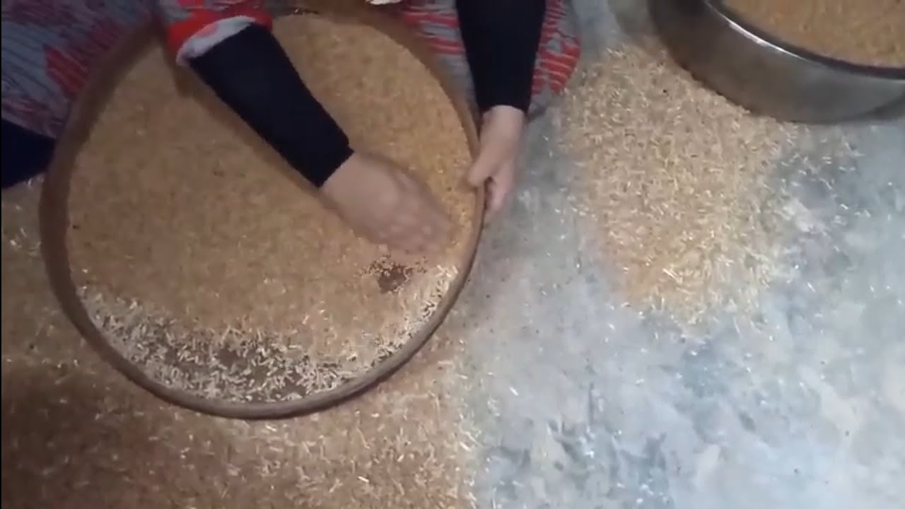 غربله القمح ( الغله ) روتين كل سنه وتخزنها بالطريقه الصحيحه من غير ما تسوس