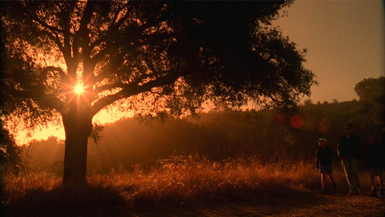 About the Irvine Ranch Natural Landmarks