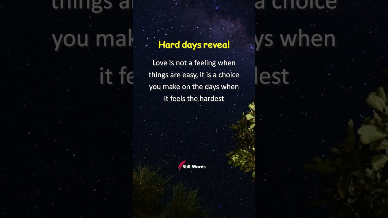 Why most relationships fail #stillwords #motivation #quotes #shortsfeed #love #mindset