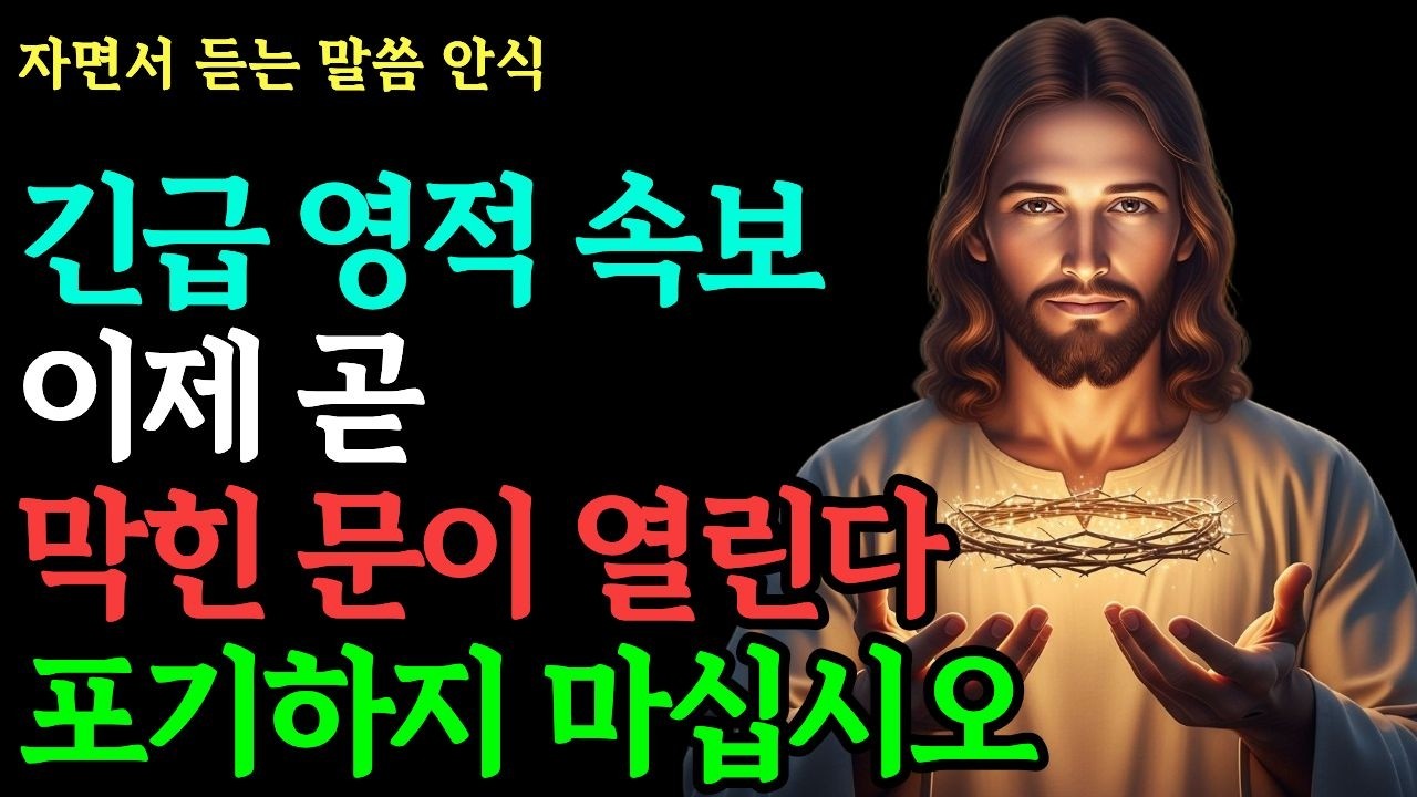 기다림에 지친 당신에게 전하는 속보, 