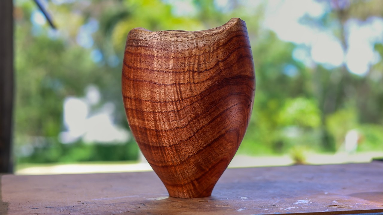 Woodturning Cracked, Bug-Infested Log…
