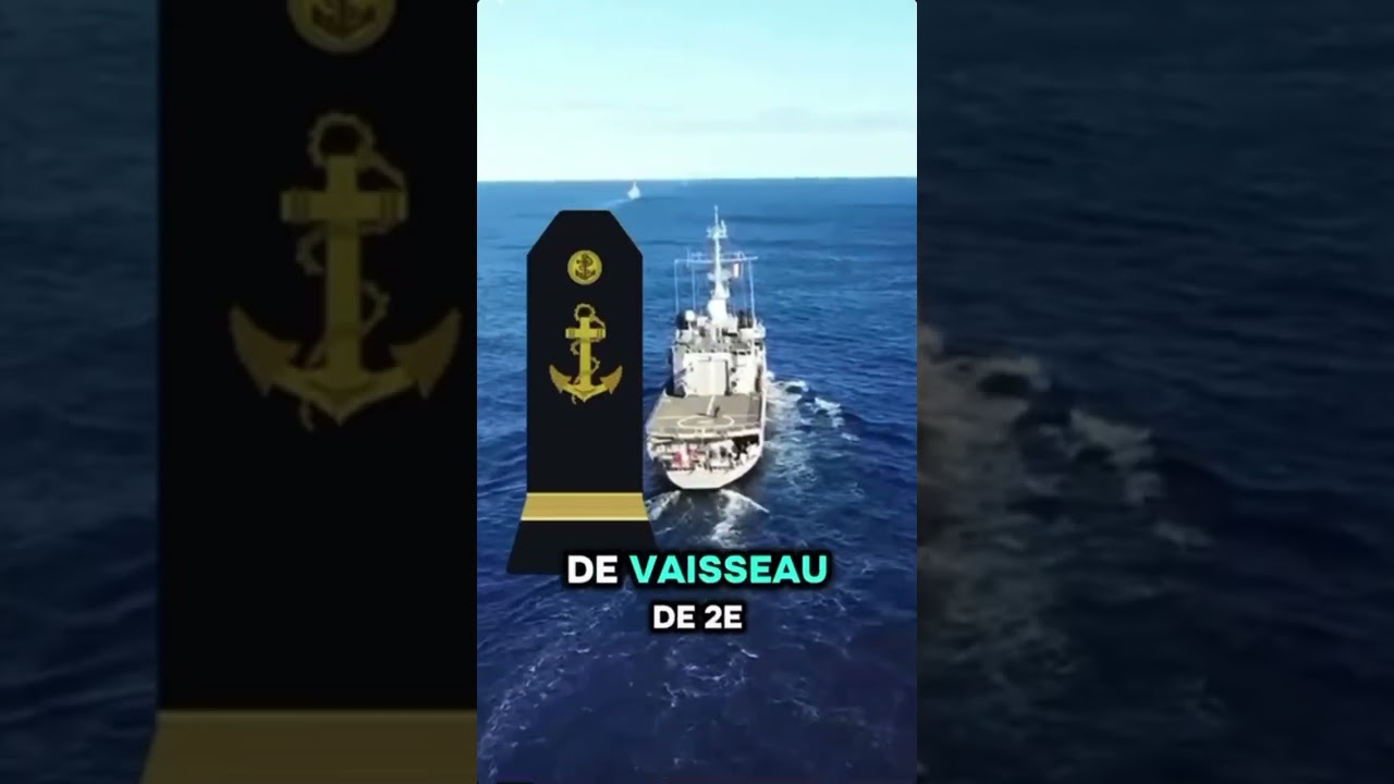 Les GRADES dans la MARINE National 🇫🇷⚓️ ! #marinenationale #grade