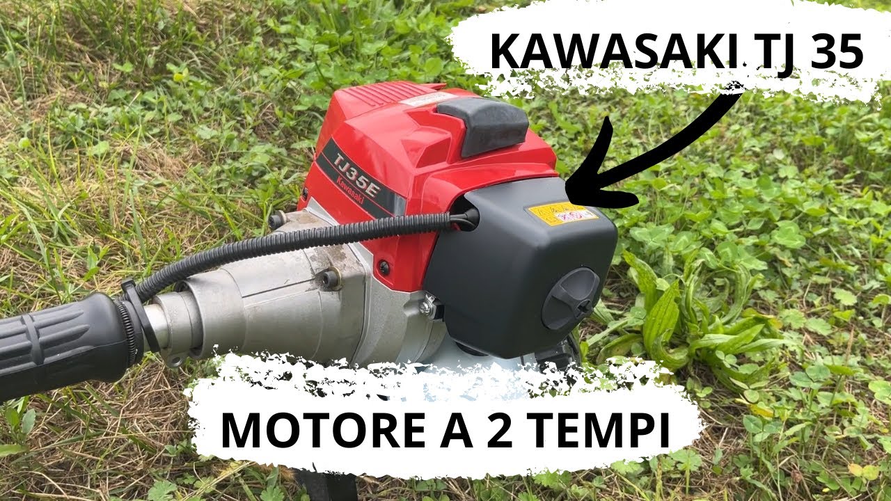 Non ho un grande budget ma vorrei un buon DECESPUGLIATORE EP2