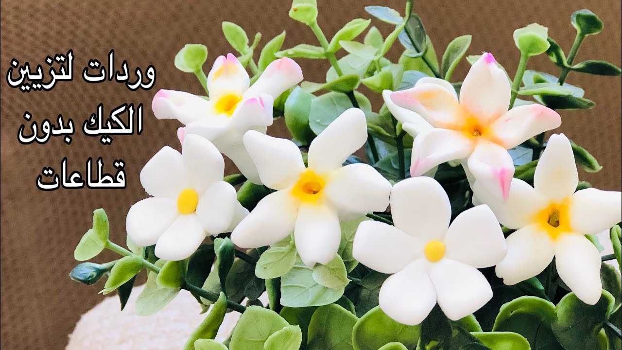 Easy gumpaste flowers without  cuttersوردات بسيطة من عجينة السكر لتزيين الكيك بدون قطاعات