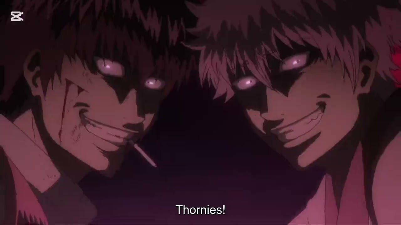 Gintama FMV - Still Into You (GinHiji/HijiGin)