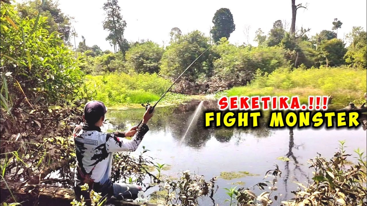 KETIKA AIR SURUT SANGAT MENDEBARKAN JANTUNG || CASTING IKAN GABUS TERBESAR