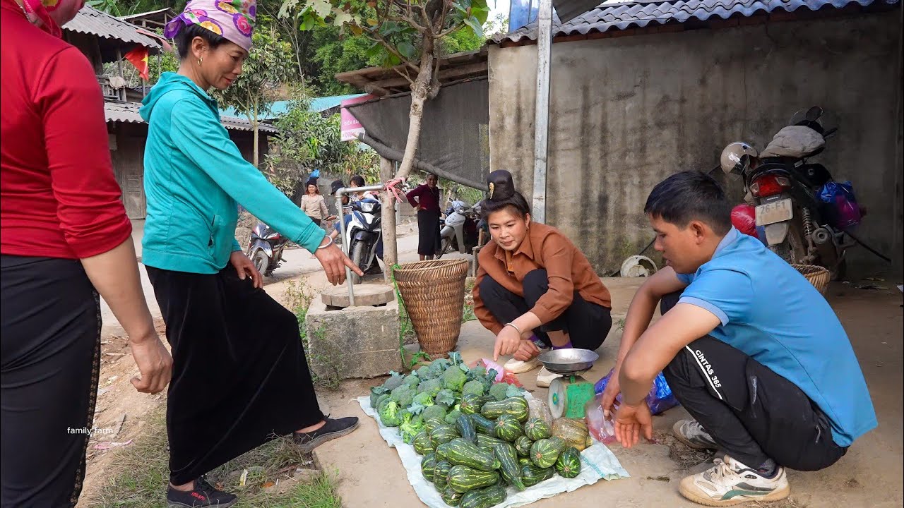 Store up a large store of firewood, harvest pumpkins and cauliflower to sell at the market