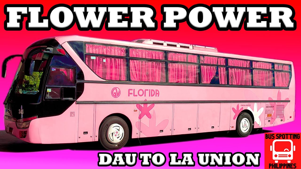 PINK BUS TO LA UNION - GV Florida Transport Bus Number 545