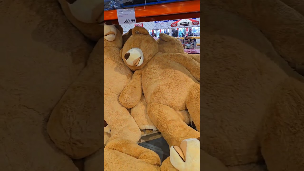Big teddy bears in Costco Perth WA for $389.99 😉🤪🐻🐻  #big#teddy#bears#🐻