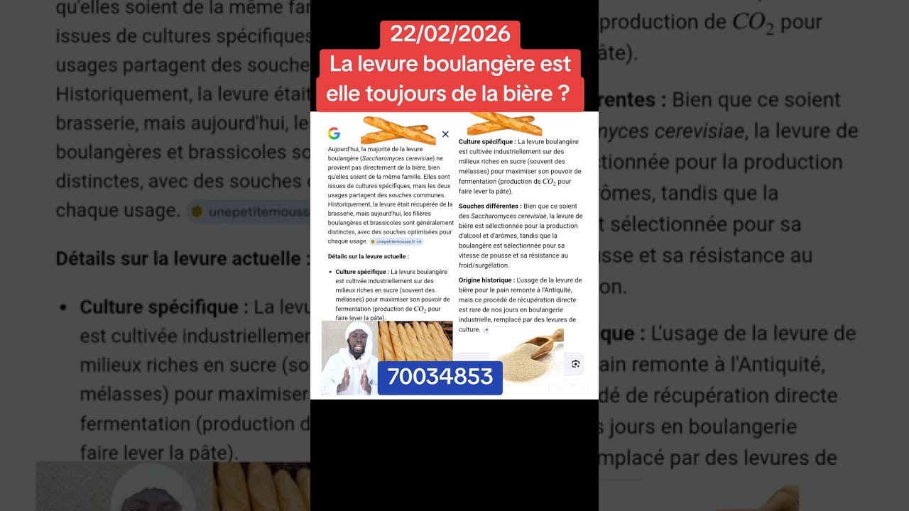 Oustaz Berthé, La levure boulangère provient encore aujourd'hui de la bière ? 