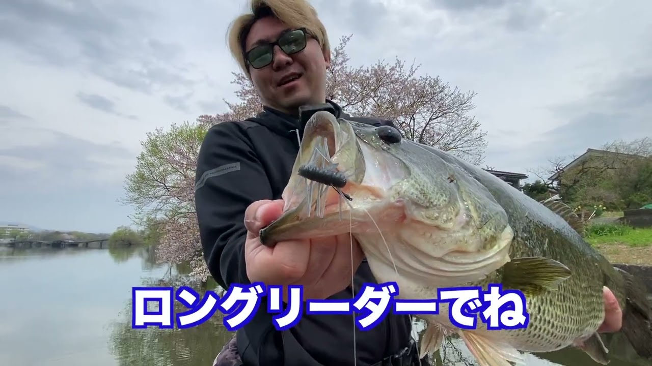 バスがいるとこ投げたらほぼ釣れるルアー