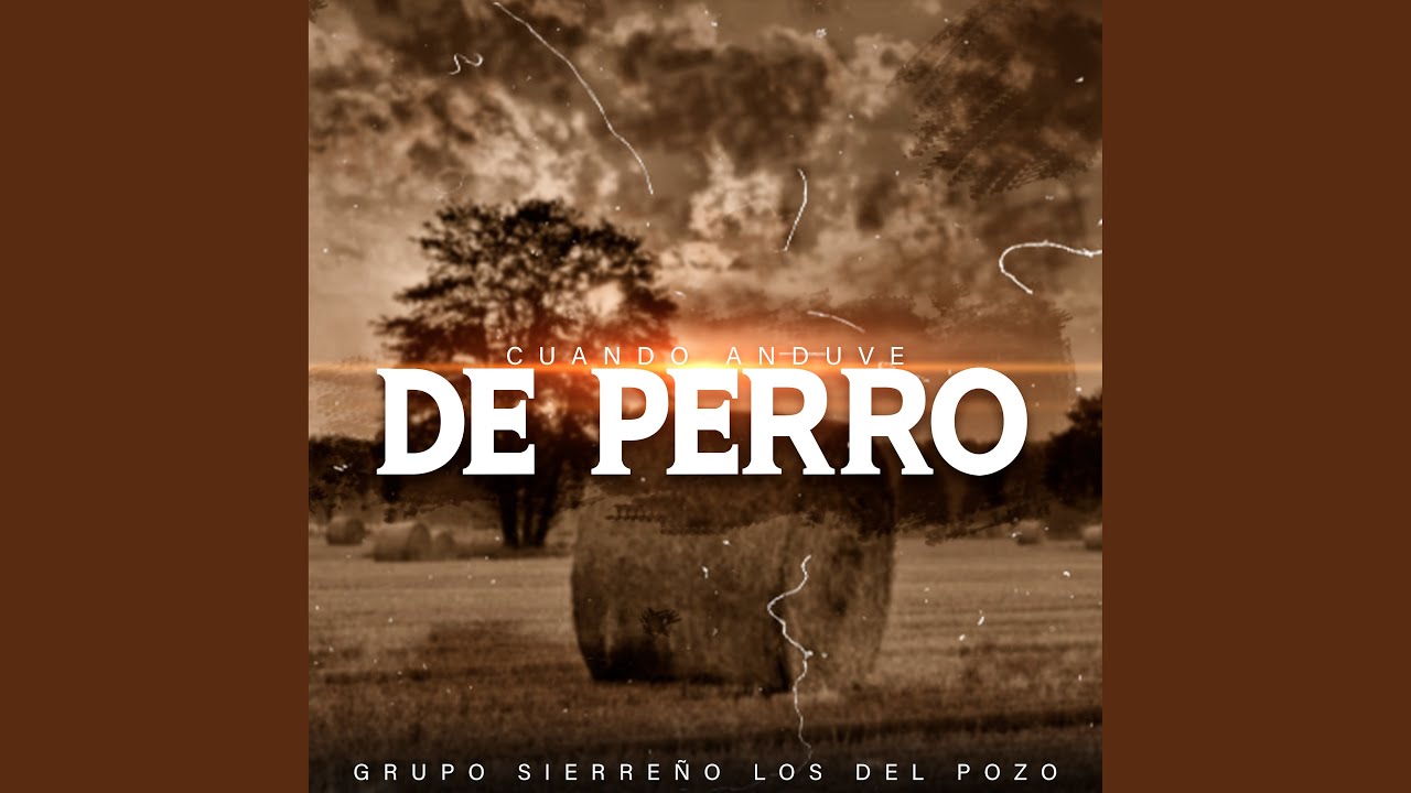 Cuando anduve de perro
