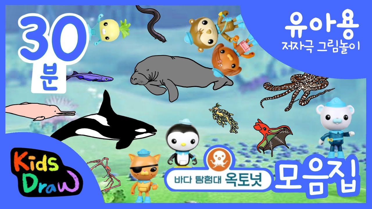 옥토넛 모음 30분 | 바다탐험대 옥토넛에는 어떤 바다동물이 나올까? | 옥토넛 바다동물 실사판 1편2편3편 모음집 | 키즈드로우