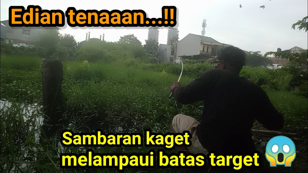 Hadeuh‼️sambaran tak terduga yang bikin repot#mancingliar#strike@jaddahmancing