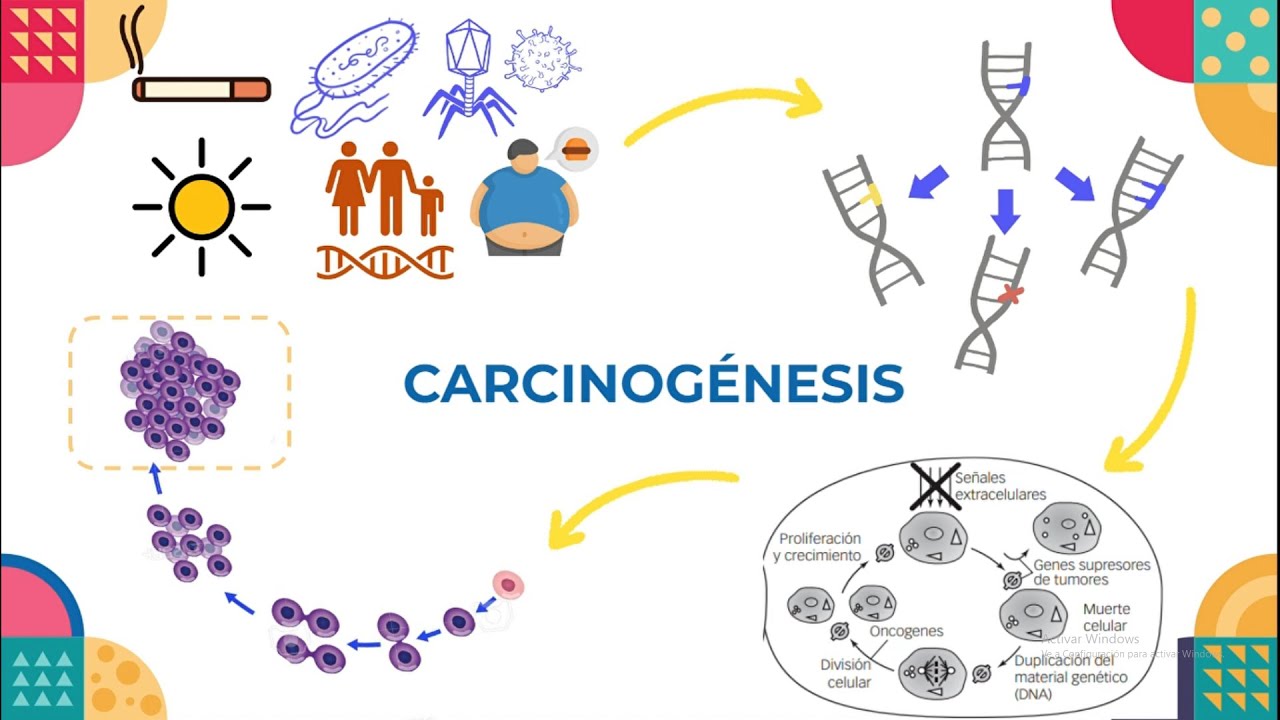 Carcinogénesis - Oncología