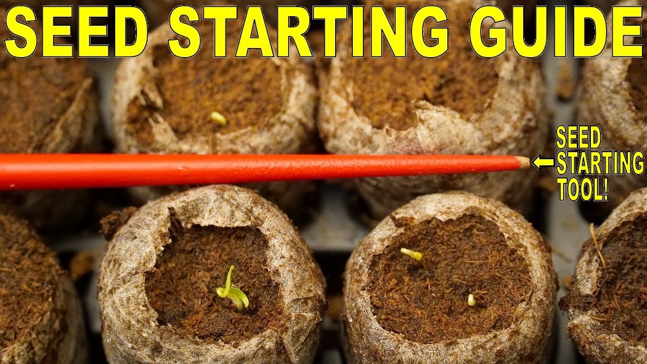 Complete Guide To Starting Seeds:This Tool Makes Seed Starting SO EASY