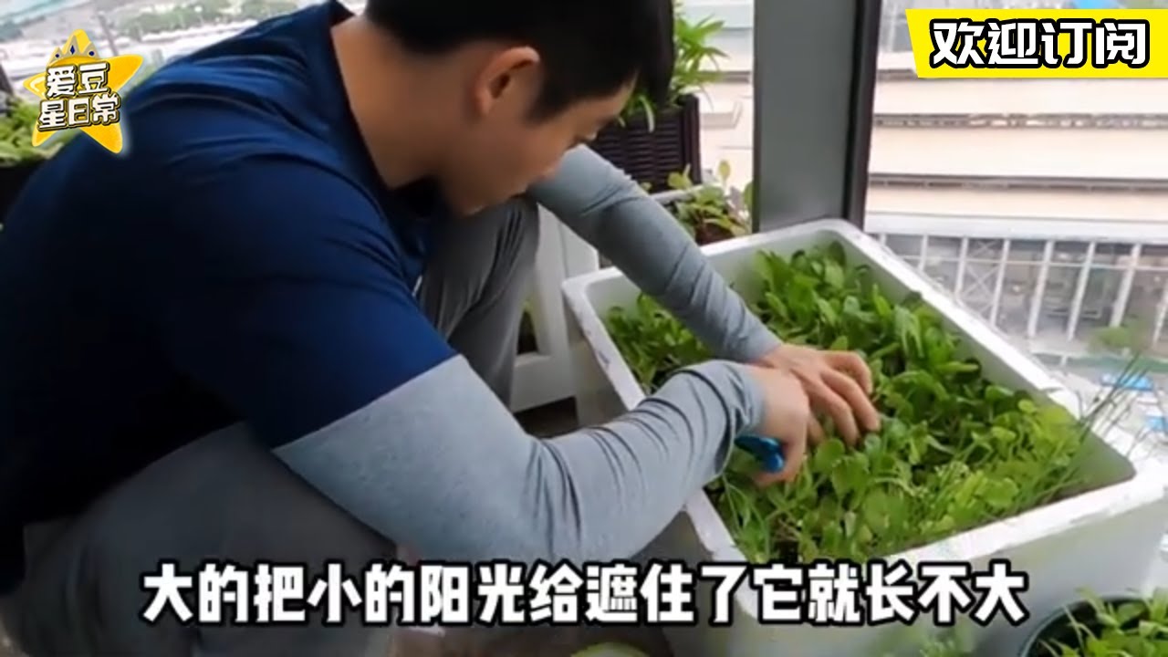 #郑恺 要再当爸爸啦！一起来看看苗苗和恺哥的甜蜜记录#奔跑吧10 ★ 爱豆星日常 ★