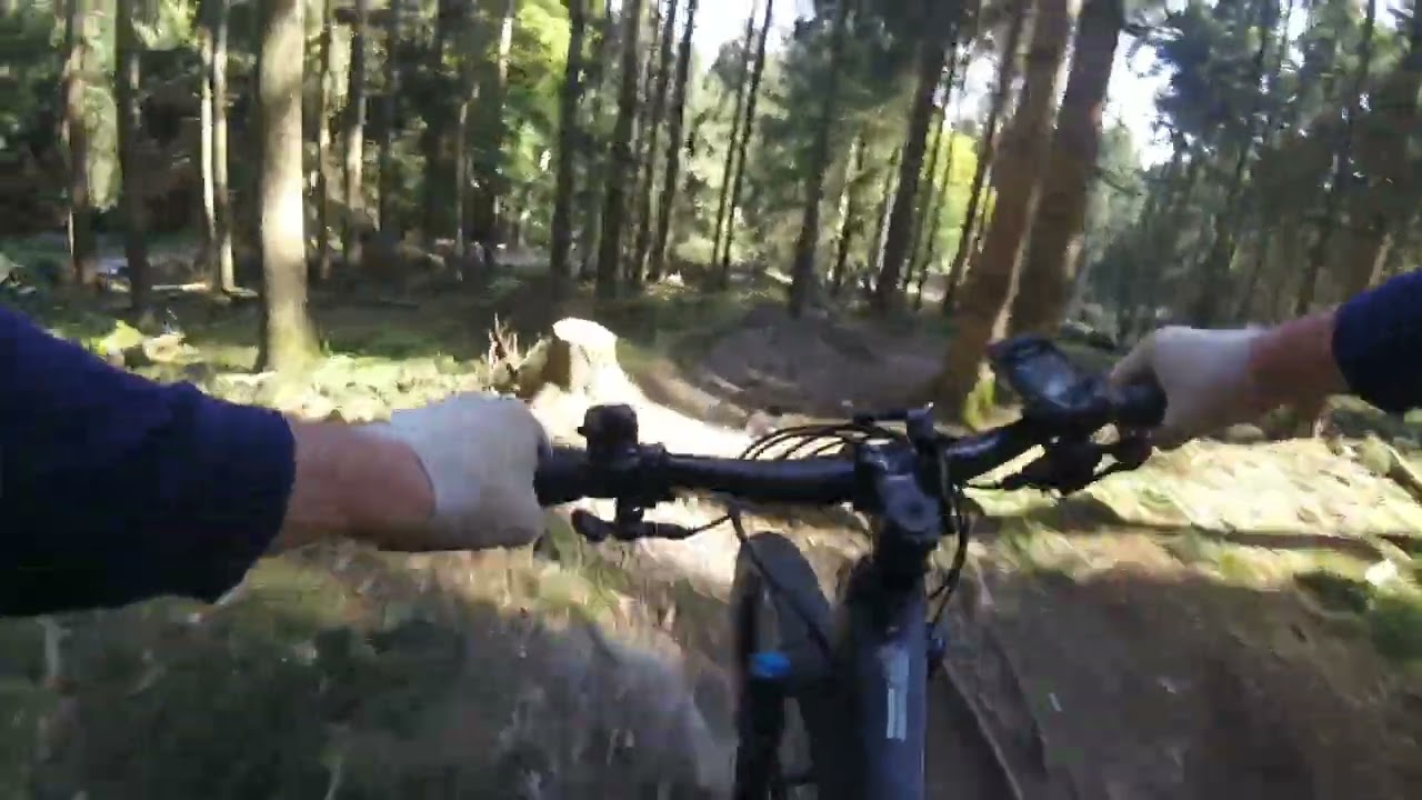 Flowtrail Feldberg1 2024 09