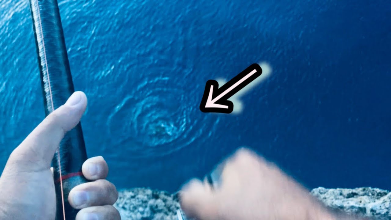 【沖縄釣り】深場から上がってきたのは…まさかの高級魚だった⁈