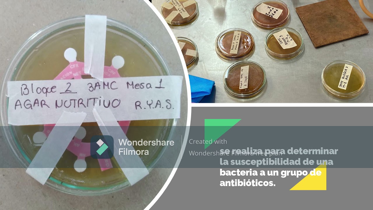 Equipo 2:Barry Marshall 3AMC "Las mejores prácticas de laboratorio de la nueva normalidad"